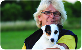 Parson Russell Terrier - trening1